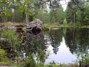 Отдых в Финляндии