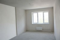 Отделка  квартир, настенная и потолочная роспись